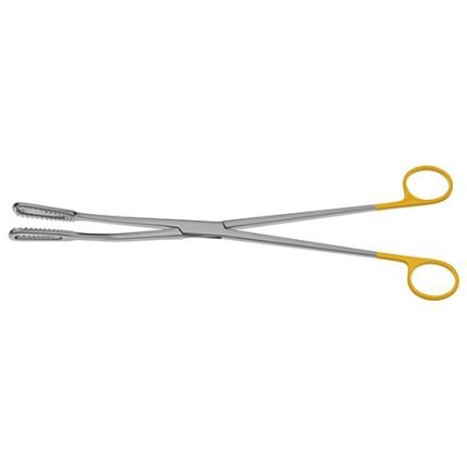 Bierer Ovum Forceps